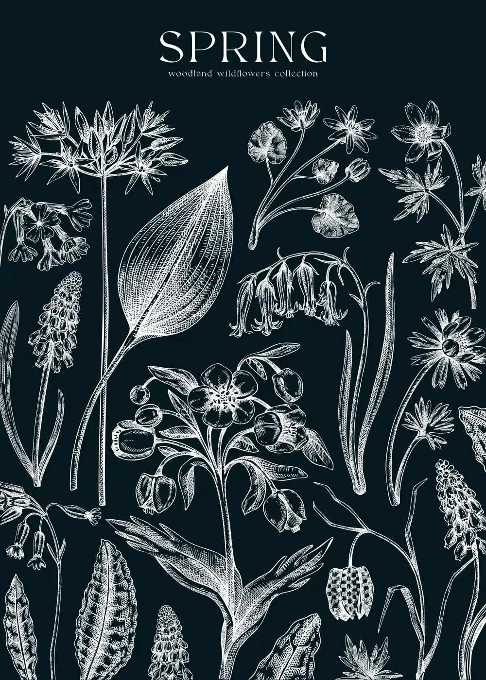 Delicate spring design template. Wildflowers on chalkboard. Woodland wild flower sketches. Floral background, greeting card or invitation. Hand drawn vector illustration, NOT AI Illustration